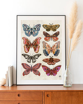 Motyle i ćmy plakat, plakat botaniczny, motyle, ZANETA ANTOSIK PRINTS