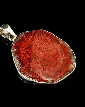 Czerwony koral, Pracownia Neores