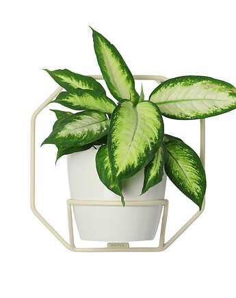 Kwietnik Metalowy Ścienny ESAGONO PRO 32/32cm Beżowy, JAKPOLDESIGN