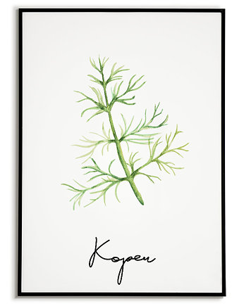 Plakat botaniczny GRAFIKA roślina ZIOŁA koper, Bajkowe Obrazki