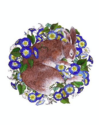 Śpiący królik - grafika- ilustracja, BOSKE