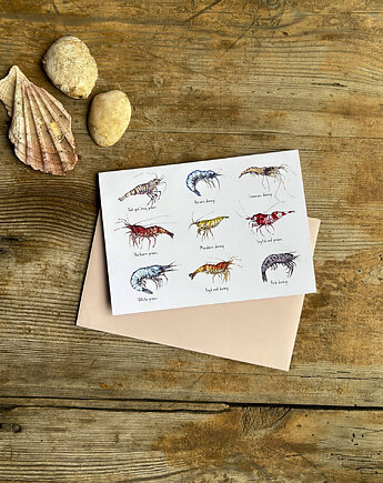 Krewetki- Prawns- Kartka- Grafika- Ilustracja, BOSKE