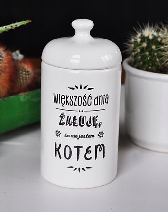 Większość dnia żałuje że nie jestem kotem pojemnik, Sowia Aleja