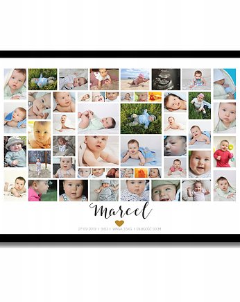 Plakat personalizowana metryczka z ponad 40 zdjęciami, Sowia Aleja