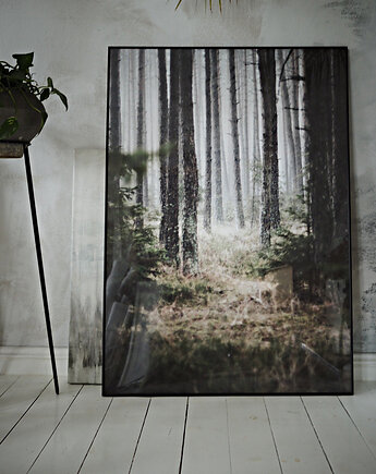 Las fotografia  70x100 cm, Margo Hupert