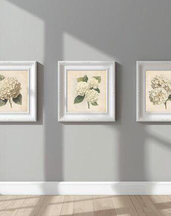 3 PLAKATY vintage białe hortensje botaniczne kwiaty grafiki, black dot studio