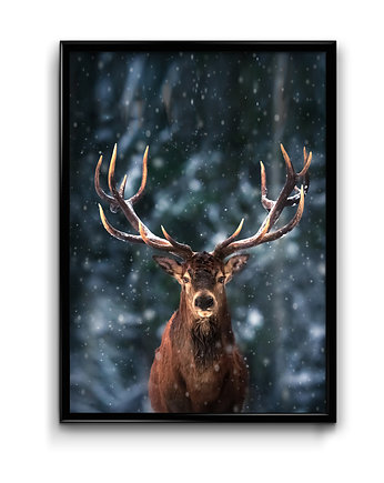 Plakat Zimowy Jeleń, Bury Lis