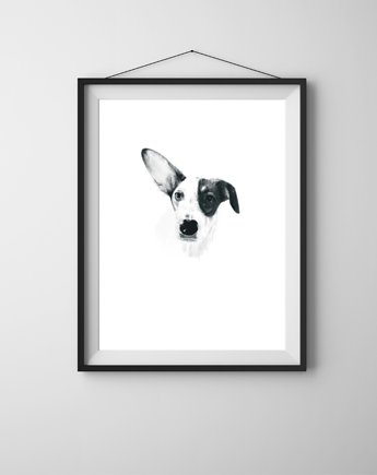 Portret psa Nr 3 - rysunek w formie plakatu A3, wydruk pigmentowy, Anka Bednarz