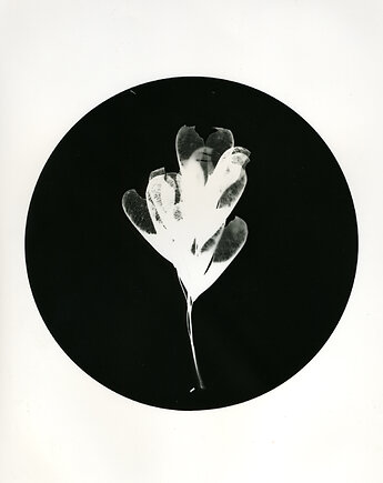 Lipa_0_, PAPER AND LIGHT