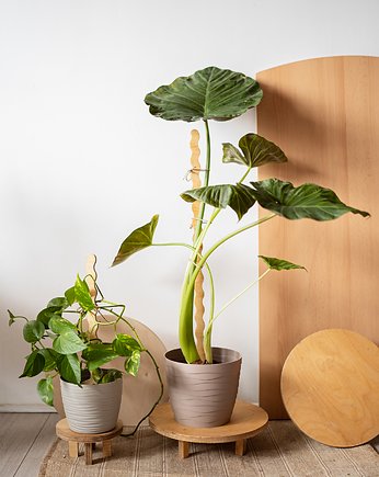 Tyczki / podpórki do roślin  60 i 30cm, Sklejkie