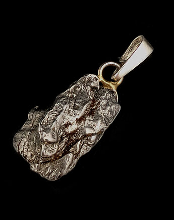 Kosmiczny meteoryt, Pracownia Neores