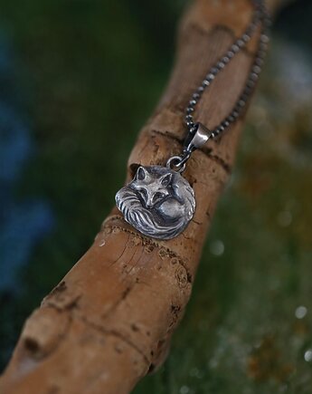 Mini śpiący lisek ze srebra, Cztery Humory