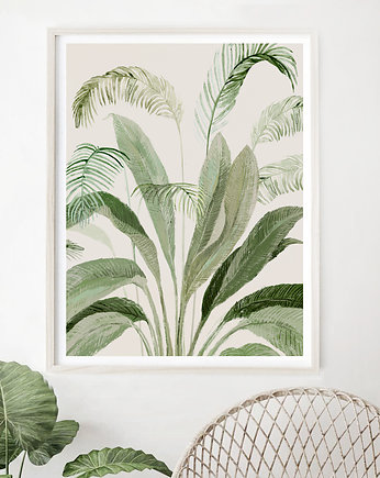 Plakat Jungle  A3, Anita Tomala