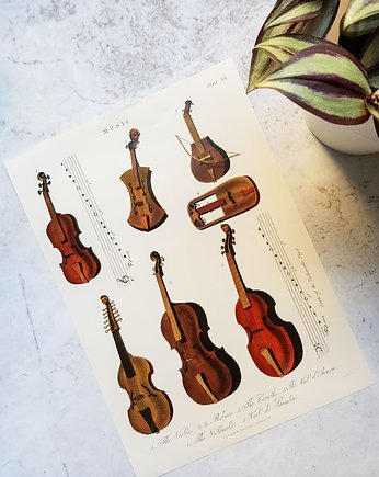 Plakat, Rycina Vintage - Instrumenty, skrzypce, Galeria LueLue