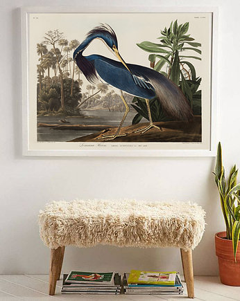 Plakat Ptak vintage  50x70 cm, OSOBY - Prezent dla dwulatka