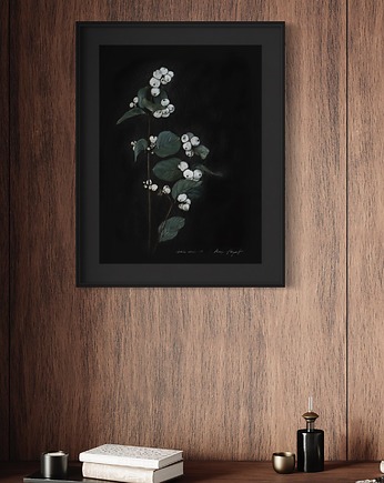 Śnieguliczka biała, Margo Hupert