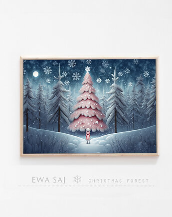 Christmas Forest, Ewa Saj Fotografie