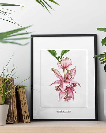 Plakat Medinilla, beata sketches