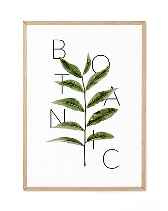 Plakat - Botanic , lemonducky
