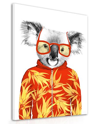 Obraz na płótnie Koala w okularach 60x80, NOWdeco