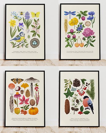 Plakat ZESTAW "Cztery pory roku" 30x40cm, Studio Stonka