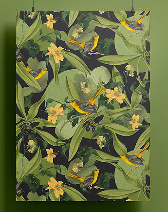 Plakat - kolaż - Ptaki 30x40, Natalia Polasik