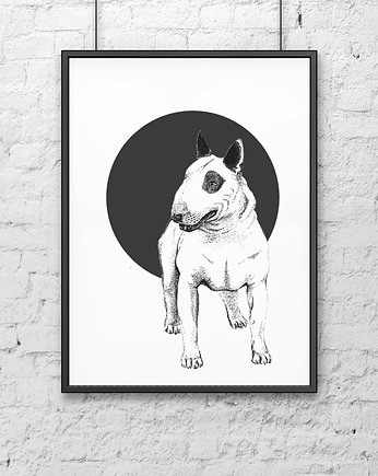 Bullterrier, DWUKROOPEK