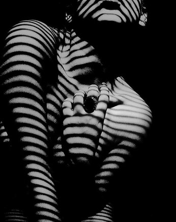 Zebracadabra płótno, KEIT