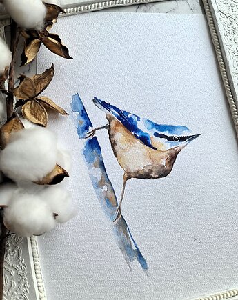 Akwarela kowalik, Wiktoria Borys Art