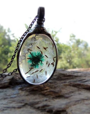 mini terrarium , MARIAELA