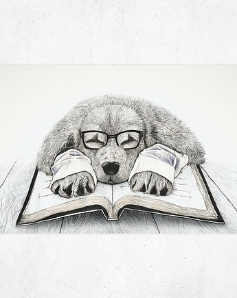 Plakat Portret labradora. Śpiący pies w okularach., Marta Tęcza