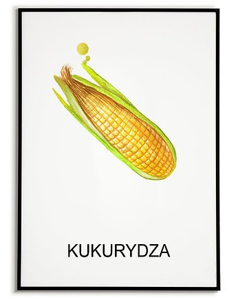 Plakat  GRAFIKA KUKURYDZA warzywa ZIOŁA, Bajkowe Obrazki