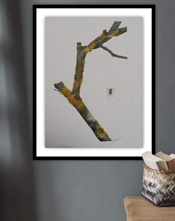 Akwarela botaniczna KORA, MMWARDZYŃSKA ART