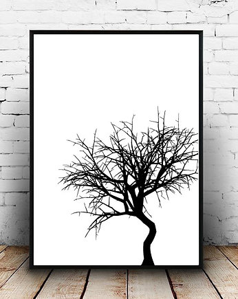 Plakat czarne drzewo, MUKI design