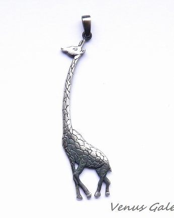 Oksydowana żyrafa, VENUS GALERIA