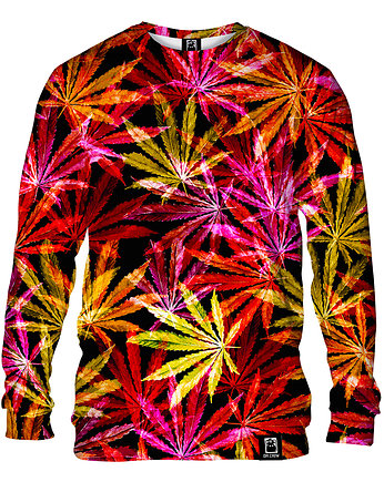 Bluza Bez Kaptura Męska DR.CROW Green Hemp Red, DrCrow