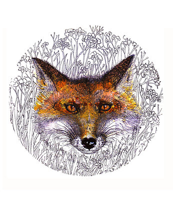 Rudy lisek- grafika- ilustracja, BOSKE