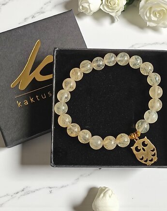 SOWA na prezent, kaktusia