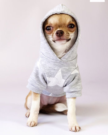 Bluza dla psa, Sisi Dog Couture