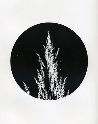 PAPER AND LIGHT projektant