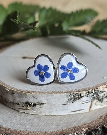 Wieczne kwiaty wkręty z kwiatami kolczyki srebrne niezapominajki, zkwiatem