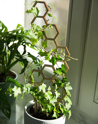 Podpórka do kwiatów Hexagon, Decorify