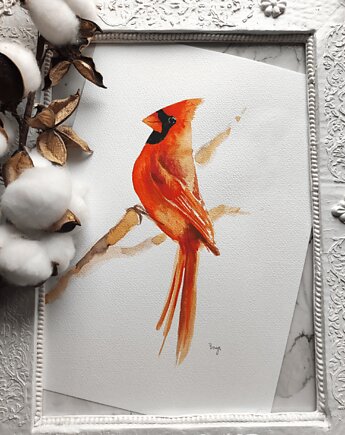 Akwarela kardynał, Wiktoria Borys Art