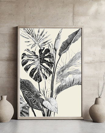 Plakat monstera, ArchiBotanica