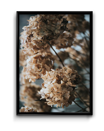 Plakat Jesienne Hortensje , Bury Lis