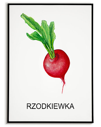 Plakat  GRAFIKA RZODKIEWKA warzywa ZIOŁA, Bajkowe Obrazki
