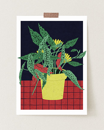 Begonia plakat grafika kwiaty, ZANETA ANTOSIK PRINTS