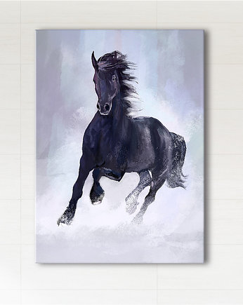 Obraz - Czarny koń - wydruk na płótnie, yenoo