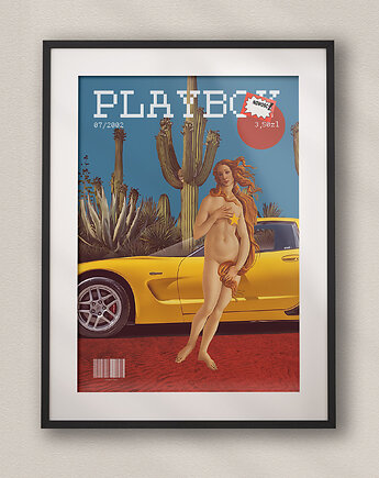 Plakat Kolaż - Venus Playboy - Dekoracja do salonu, pokoju, biura, DAPIDOKA