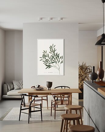 Oliwka / Fine Art Print, Margo Hupert